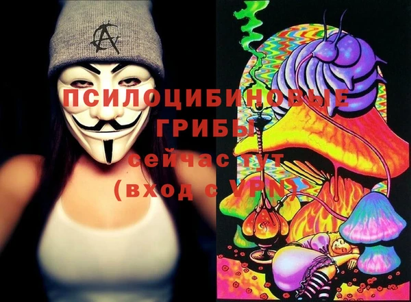 2c-b Аркадак