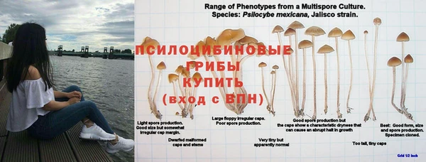 альфа пвп Армянск