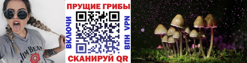 Купить закладки  Суворов  Псилоцибиновые грибы прущие грибы 
